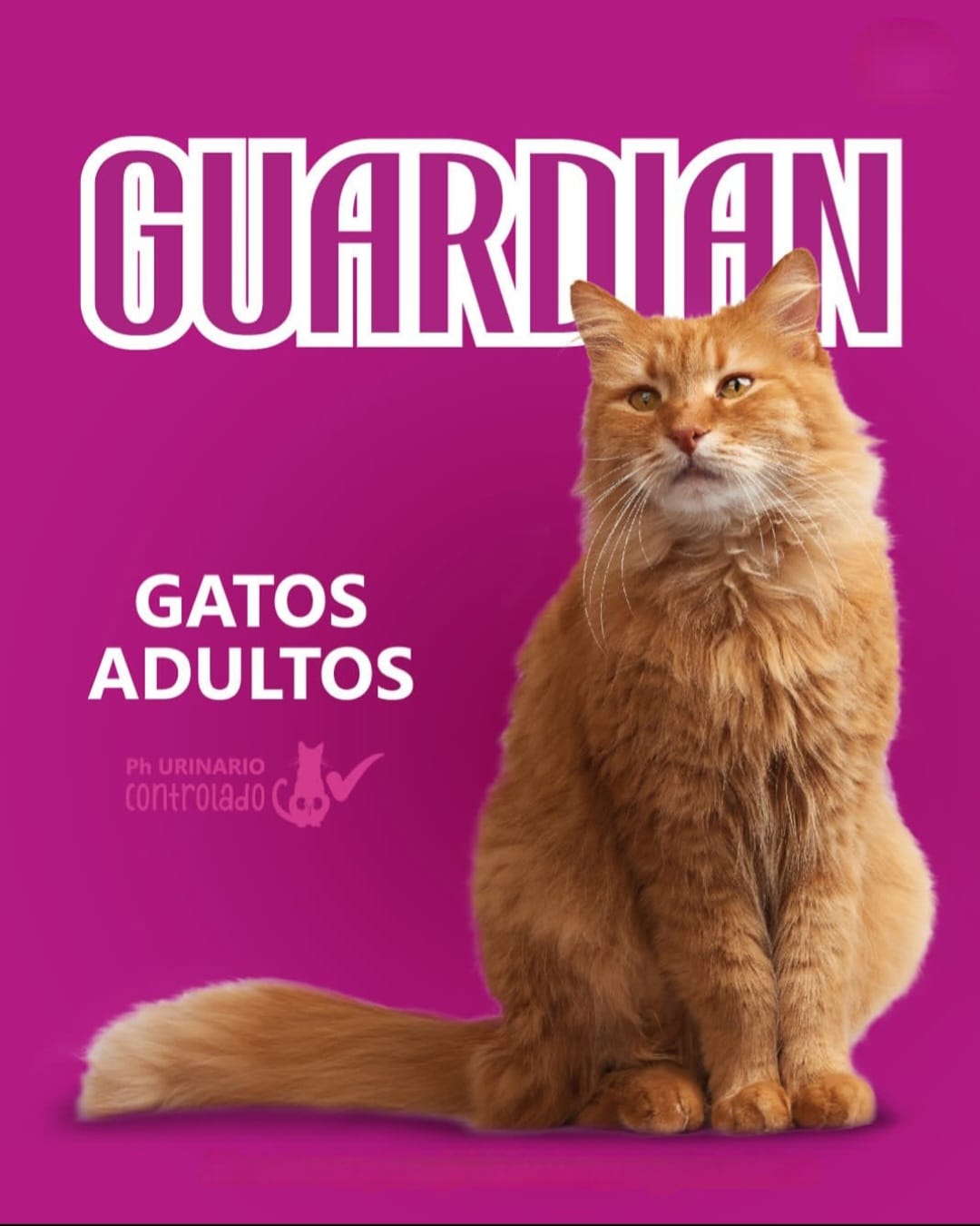 Oferta
